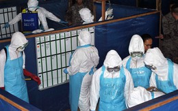 Morocco không tổ chức CAN vì dịch Ebola