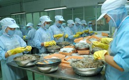 ​Cần Thơ đẩy mạnh xuất khẩu thủy sản cao cấp