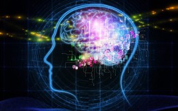 ​Thông thạo nhiều ngôn ngữ giúp não bộ nhanh nhạy hơn