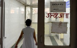 ​Ấn Độ cách ly người có virút Ebola trong tinh trùng