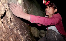 Cheo leo kiếm sống