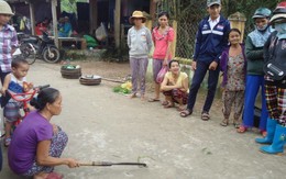 Điểm tin: Rắn lục đuôi đỏ xuất hiện tràn lan ở Quảng Nam