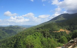 ​Cuộc thi ảnh “Rừng và con người”