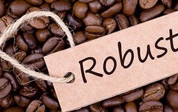 ​Cà phê Robusta thế giới sốt giá