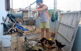 ​Nỗ lực học để thành sĩ quan hải quân