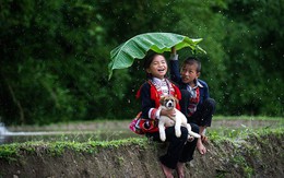 ​ Tự sự nhiếp ảnh của Phạm Vũ Phước