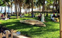 ​Nghe nhạc tại công viên bờ biển Nha Trang