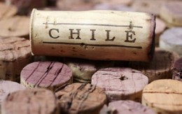 Chile - thị trường tiềm năng của các doanh nghiệp Việt