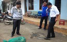 Thả hàng trăm con rắn trên Quốc lộ 1A