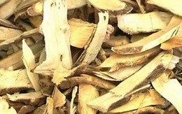 Bắt nhóm lừa bán thuốc nam dỏm ở bệnh viện