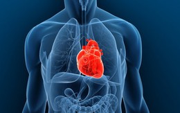 ​Chia sẻ kiến thức mới điều trị tật tim bẩm sinh