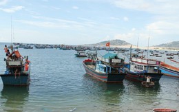 ​Quảng Ngãi với nguy cơ suy kiệt vùng đới bờ