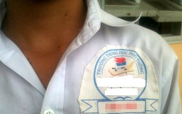 ​Logo trường học gây phiền