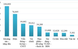 Lợi nhuận của ngành điện chỉ sau dầu khí
