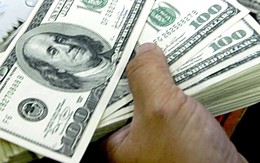 Bắt tổng giám đốc lừa đầu tư chung cư, chiếm 7 triệu USD