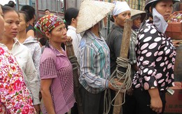 Mùa mưu sinh kiếm tiền ăn tết