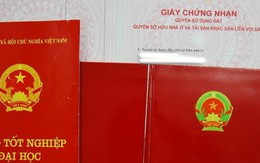 Vợ chồng làm bằng giả môi giới lao động bị lừa sạch tiền