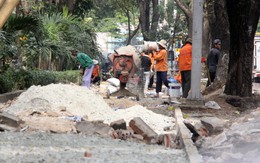 ​Tín hiệu mừng cho cây xanh TP.HCM