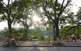 ​Thời tiết đẹp trong dịp Tết Nguyên đán