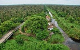 ​Tạm đóng cửa rừng tràm U Minh Hạ đề phòng cháy rừng