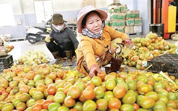 ​Đà Lạt: rau, củ dồi dào