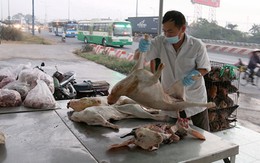 ​“Báo cáo láo” làm méo mó chính sách