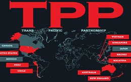 Đàm phán TPP, Việt Nam đảm bảo xuất khẩu nhiều nhóm hàng