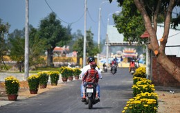 Chúng tôi sẽ trông coi, thắp hương cho mộ ông Thanh