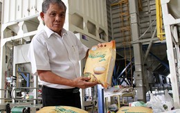Đưa thương hiệu gạo Việt ra nước ngoài