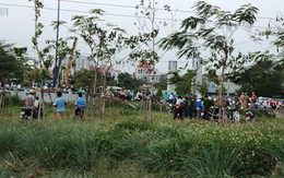 Phỏng nặng vì câu cá dưới đường điện cao thế