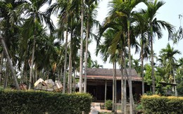 Bình yên Trà Nhiêu 