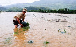 Miền Trung lũ kỷ lục tháng 3 chưa từng có