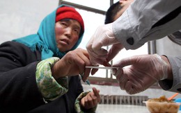 ​Nửa triệu cô dâu đổ sang Đông Á