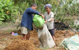 ​Một đời lượm mót