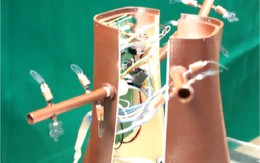 ​Chế tạo thành công cây robot Plantoid