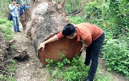 Vì sao luật mới ban hành đã bị đề nghị sửa?