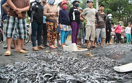 Yêu cầu xáng cạp hoạt động khi lấy mẫu nước kiểm nghiệm