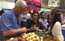 Thực phẩm nước ngoài "chọn" thị trường Việt