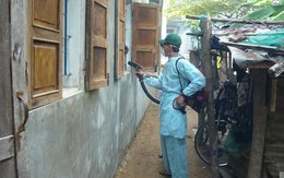 ​TP.HCM chủ động các giải pháp ngăn chặn dịch sốt xuất huyết