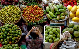 ​Hiệp định VKFTA - Cơ hội và thách thức