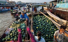Xem video “90 ngày trong 90 giây: cuộc sống trên dòng Mekong” 
