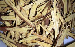 Triển vọng trị viêm loét ruột từ thiên nhiên