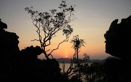​Một ngày trên đảo Bánh Sữa 