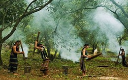 ​Thăm lại sóc BomBo