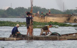 Kiểm tra vụ “bốc hơi” 42ha đất ven sông Đồng Nai