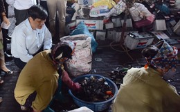 Nỗi lo trẻ nhiễm độc ở làng nghề