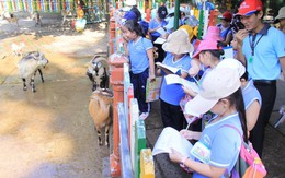 Môi trường học thoải mái đưa học sinh đến đích xa hơn