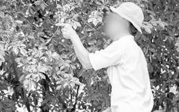 ​Chụp ảnh thiên nhiên cần chân thực
