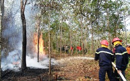 ​Ứng trực phòng chống cháy rừng 24/24h