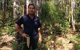 Người Việt tạo trầm"vô" liên doanh đa quốc gia ra sao?